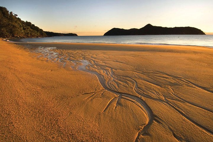 Abel Tasman Kayaks, Adele Island